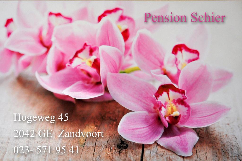 Pension Schier Zandvoort Exteriör bild