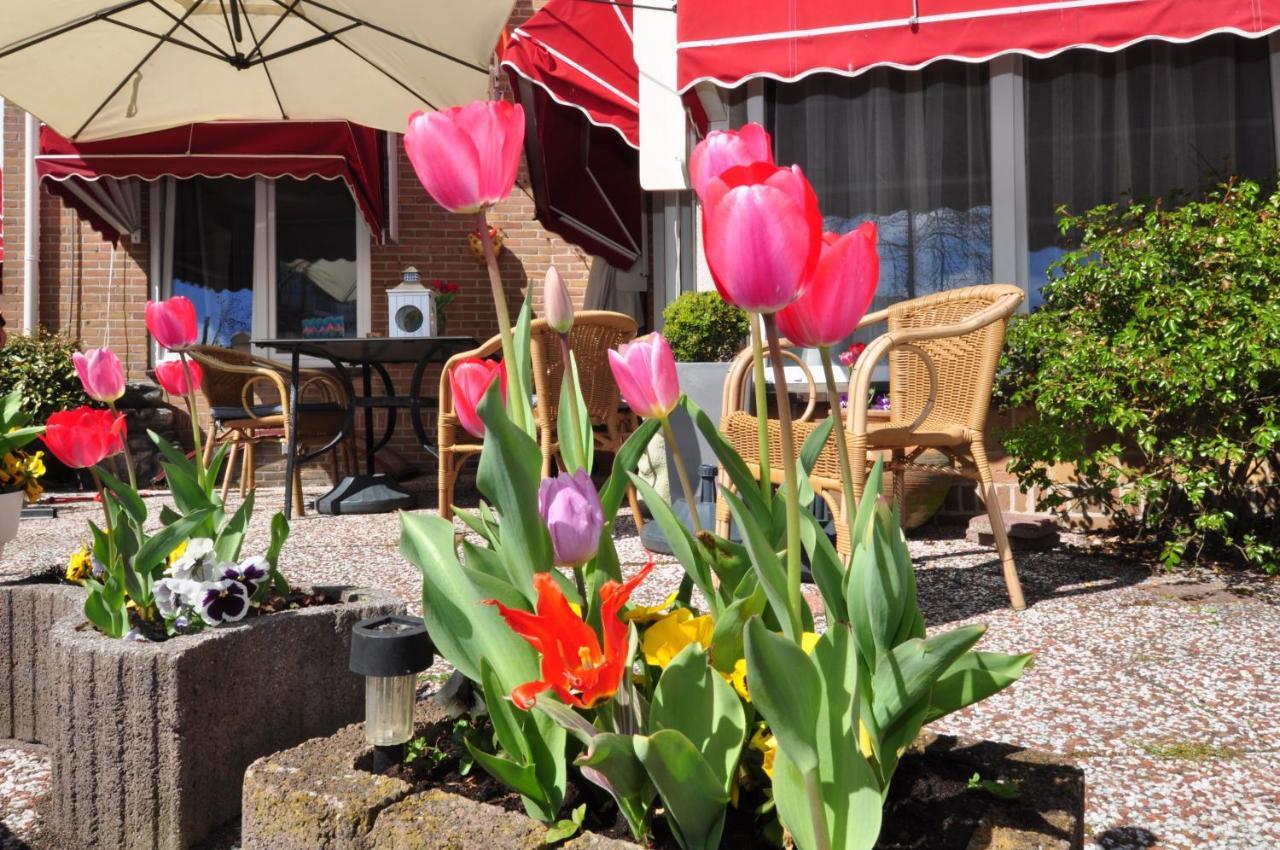 Pension Schier Zandvoort Exteriör bild